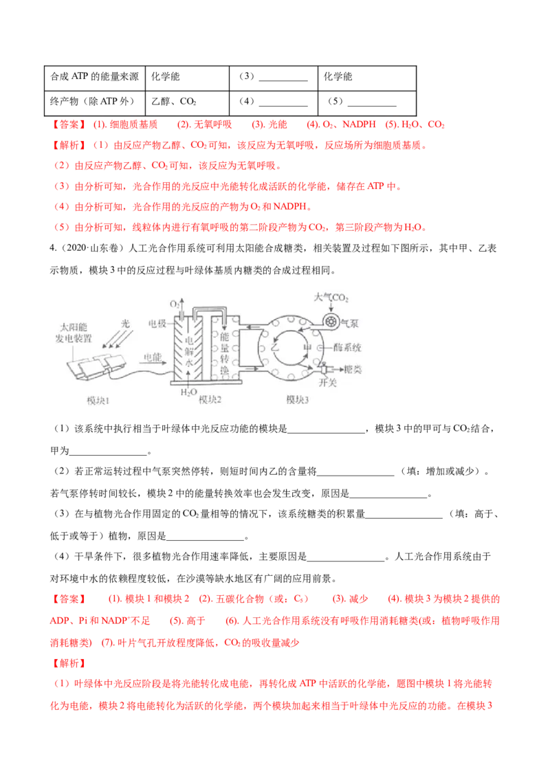 专题14光合作用与呼吸作用综合-十年（2012-2021）高考生物真题分项汇编（全国通用）（解析版）_高考真题分类汇编(2012-2022)生物_高考真题分项汇编(2012-2021)生物