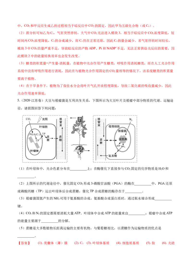 专题14光合作用与呼吸作用综合-十年（2012-2021）高考生物真题分项汇编（全国通用）（解析版）_高考真题分类汇编(2012-2022)生物_高考真题分项汇编(2012-2021)生物