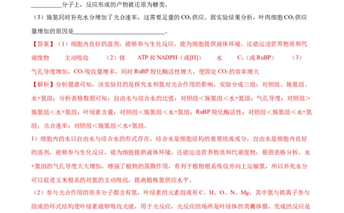 专题14光合作用与呼吸作用综合-十年（2012-2021）高考生物真题分项汇编（全国通用）（解析版）_高考真题分类汇编(2012-2022)生物_高考真题分项汇编(2012-2021)生物