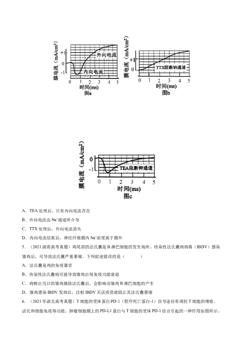 专题09动物生命活动的调节-三年（2020-2022）高考真题生物分项汇编（全国通用）（原卷版）_高考真题分类汇编(2012-2022)生物_高考真题分项汇编(2020-2022)生物