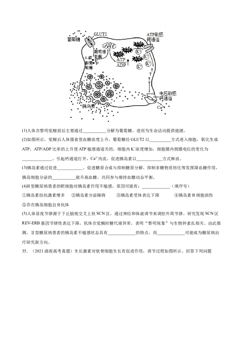 专题09动物生命活动的调节-三年（2020-2022）高考真题生物分项汇编（全国通用）（原卷版）_高考真题分类汇编(2012-2022)生物_高考真题分项汇编(2020-2022)生物