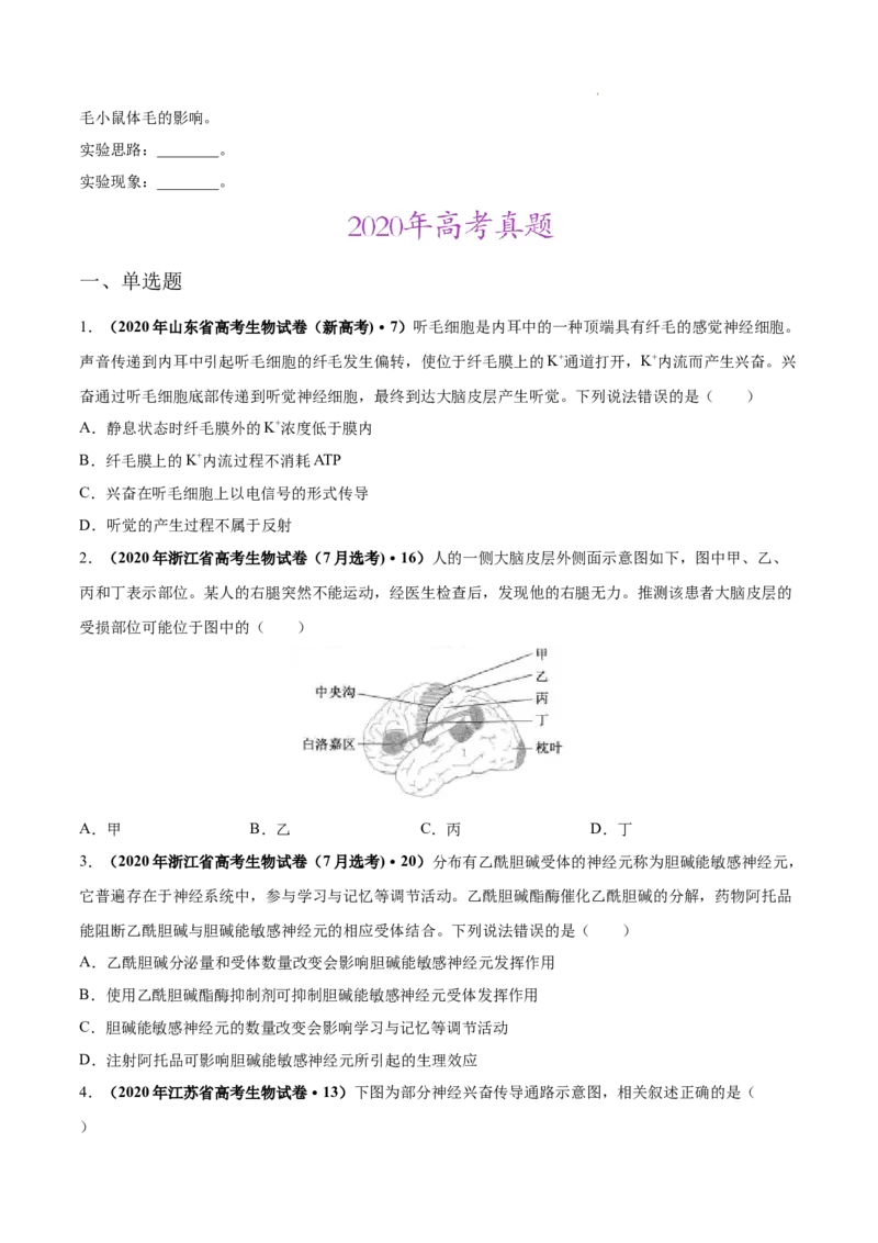 专题09动物生命活动的调节-三年（2020-2022）高考真题生物分项汇编（全国通用）（原卷版）_高考真题分类汇编(2012-2022)生物_高考真题分项汇编(2020-2022)生物