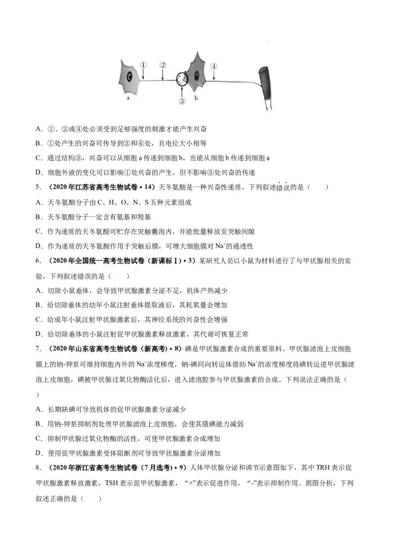专题09动物生命活动的调节-三年（2020-2022）高考真题生物分项汇编（全国通用）（原卷版）_高考真题分类汇编(2012-2022)生物_高考真题分项汇编(2020-2022)生物