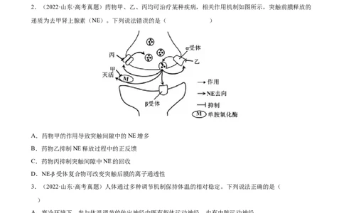 专题09动物生命活动的调节-三年（2020-2022）高考真题生物分项汇编（全国通用）（原卷版）_高考真题分类汇编(2012-2022)生物_高考真题分项汇编(2020-2022)生物