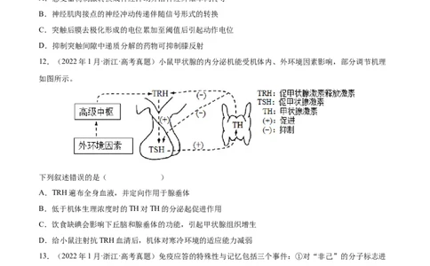 专题09动物生命活动的调节-三年（2020-2022）高考真题生物分项汇编（全国通用）（原卷版）_高考真题分类汇编(2012-2022)生物_高考真题分项汇编(2020-2022)生物