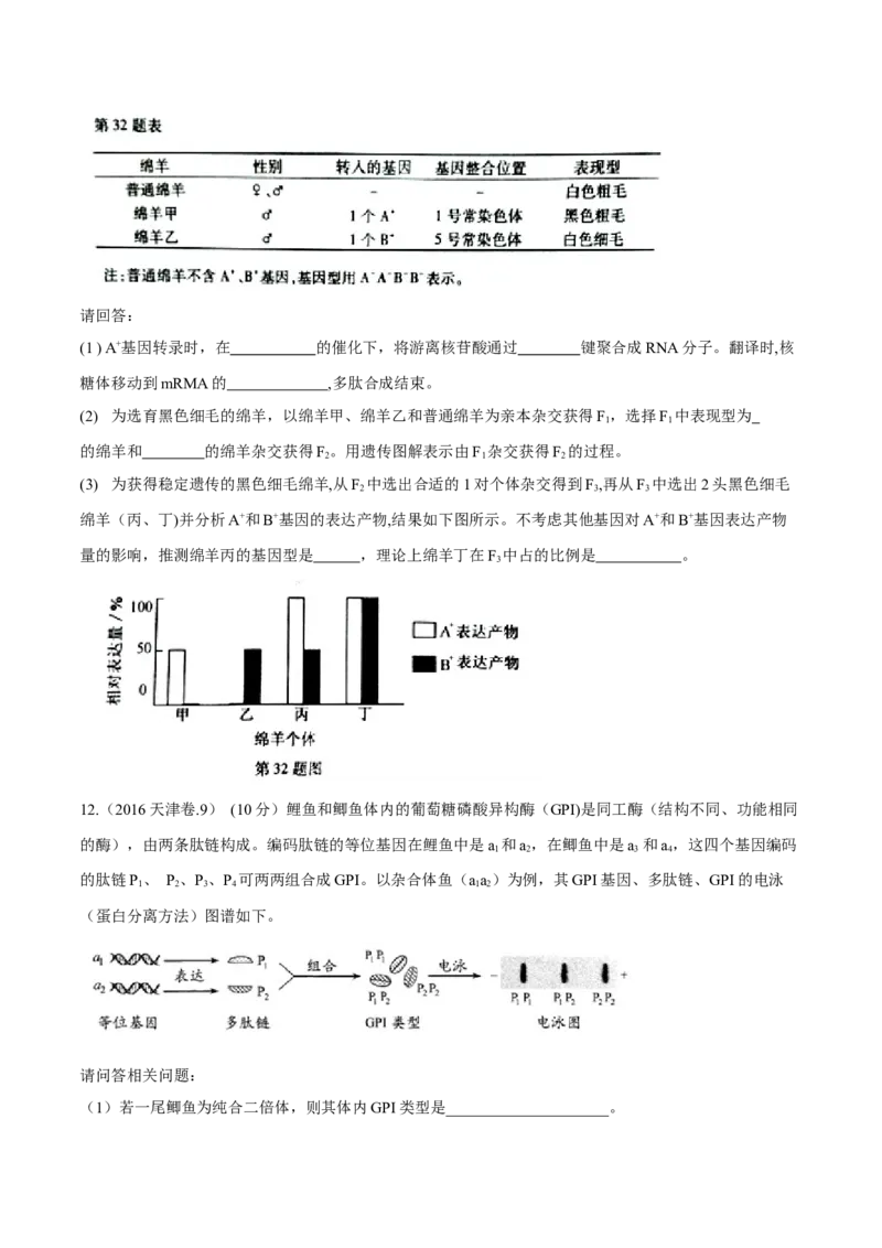专题05遗传的基本规律与遗传病-十年（2012-2021）高考生物真题分项汇编（全国通用）（原卷版）_高考真题分类汇编(2012-2022)生物_高考真题分项汇编(2012-2021)生物