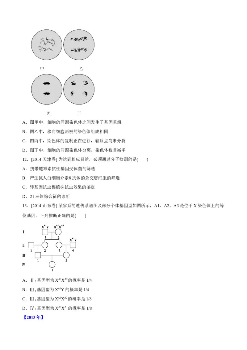 专题05遗传的基本规律与遗传病-十年（2012-2021）高考生物真题分项汇编（全国通用）（原卷版）_高考真题分类汇编(2012-2022)生物_高考真题分项汇编(2012-2021)生物