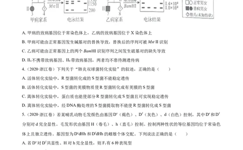 专题05遗传的基本规律与遗传病-十年（2012-2021）高考生物真题分项汇编（全国通用）（原卷版）_高考真题分类汇编(2012-2022)生物_高考真题分项汇编(2012-2021)生物