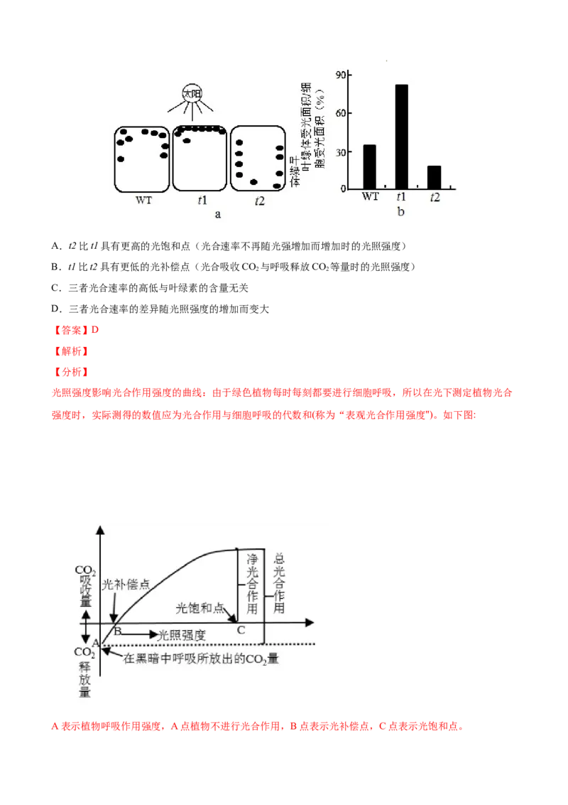 专题02细胞的物质运输、酶与ATP-三年（2020-2022）高考真题生物分项汇编（全国通用）（解析版）_高考真题分类汇编(2012-2022)生物_高考真题分项汇编(2020-2022)生物