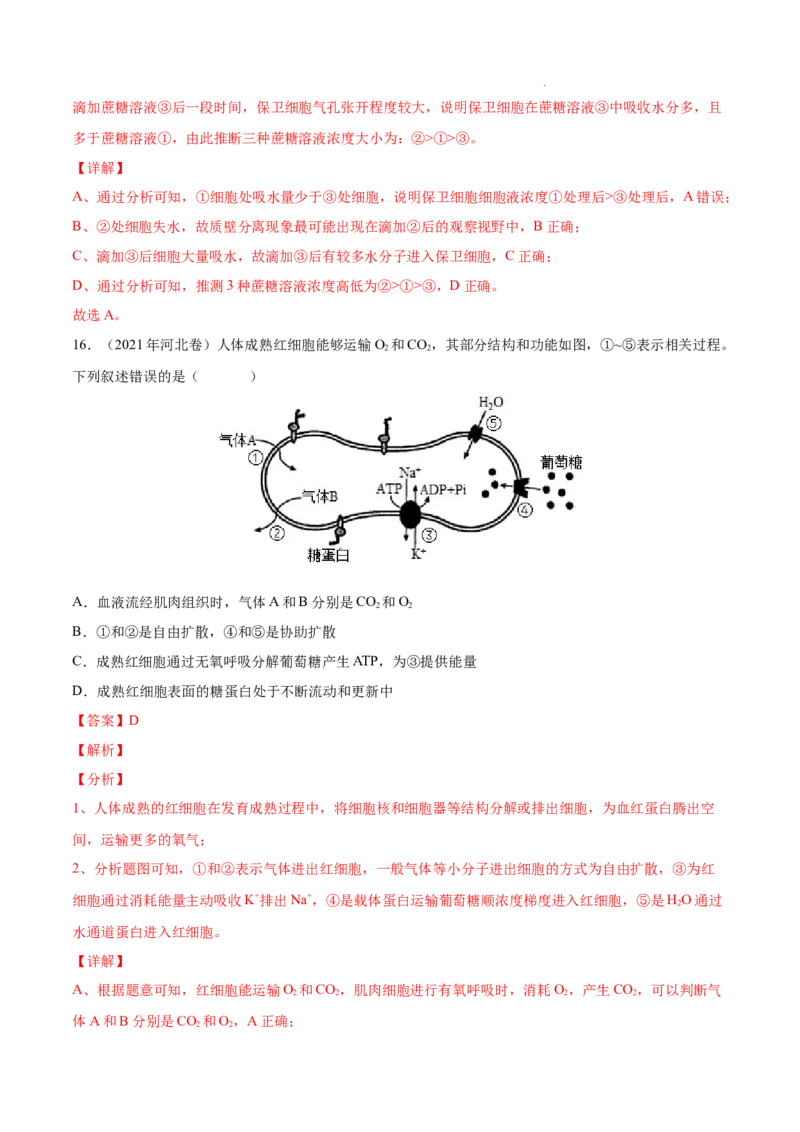 专题02细胞的物质运输、酶与ATP-三年（2020-2022）高考真题生物分项汇编（全国通用）（解析版）_高考真题分类汇编(2012-2022)生物_高考真题分项汇编(2020-2022)生物