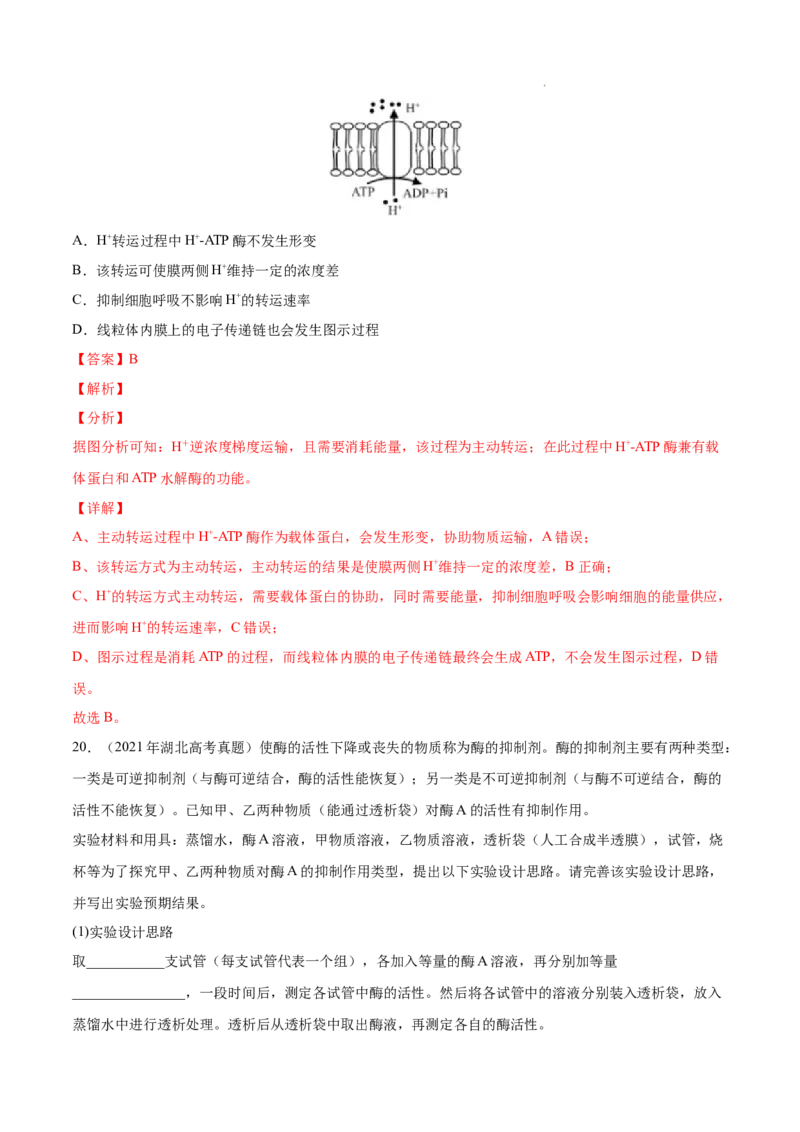 专题02细胞的物质运输、酶与ATP-三年（2020-2022）高考真题生物分项汇编（全国通用）（解析版）_高考真题分类汇编(2012-2022)生物_高考真题分项汇编(2020-2022)生物