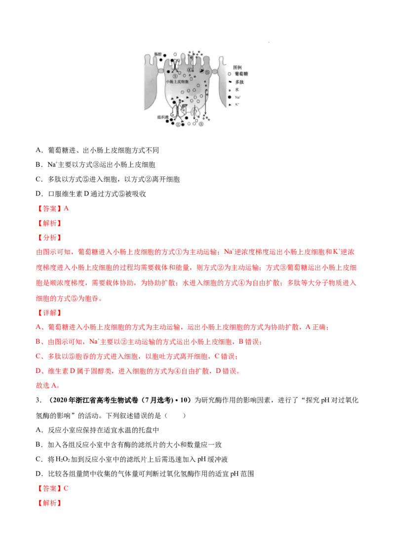 专题02细胞的物质运输、酶与ATP-三年（2020-2022）高考真题生物分项汇编（全国通用）（解析版）_高考真题分类汇编(2012-2022)生物_高考真题分项汇编(2020-2022)生物
