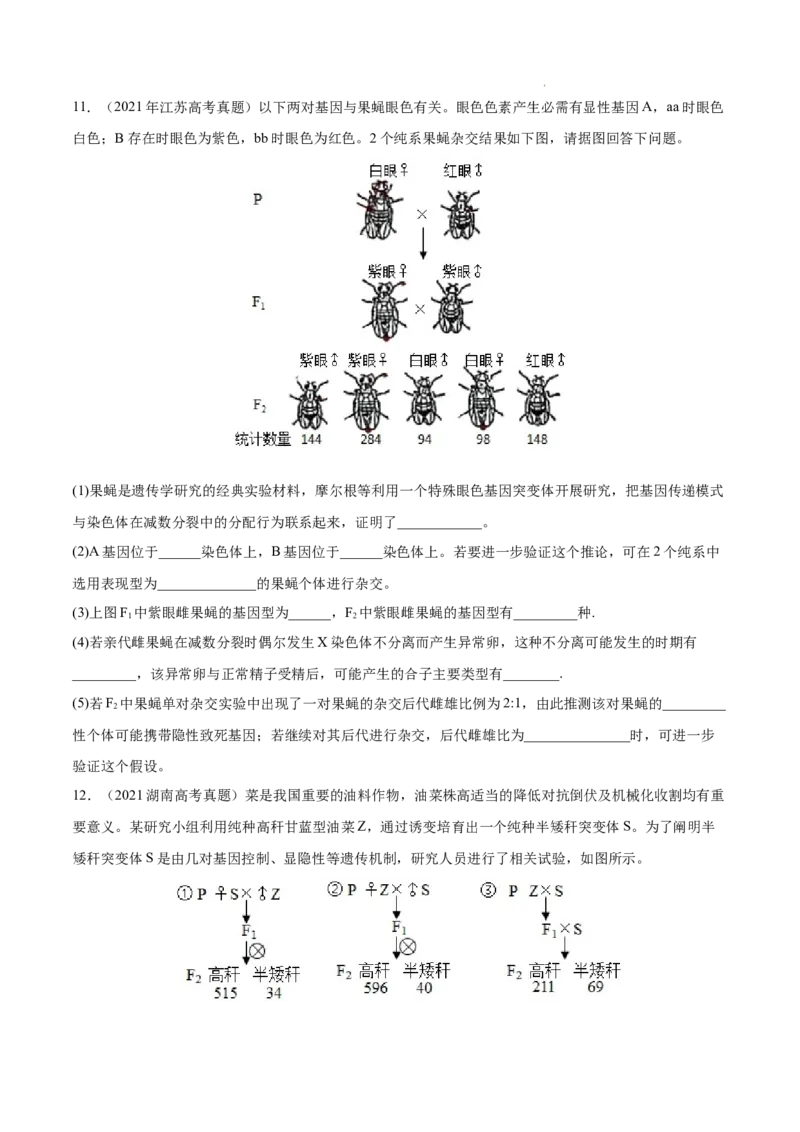 专题06基因的分离定律和自由组合定律-三年（2020-2022）高考真题生物分项汇编（全国通用）（原卷版）_高考真题分类汇编(2012-2022)生物_高考真题分项汇编(2020-2022)生物