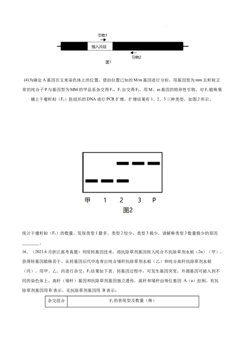 专题06基因的分离定律和自由组合定律-三年（2020-2022）高考真题生物分项汇编（全国通用）（原卷版）_高考真题分类汇编(2012-2022)生物_高考真题分项汇编(2020-2022)生物