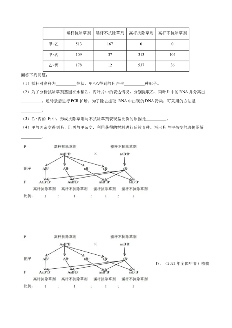 专题06基因的分离定律和自由组合定律-三年（2020-2022）高考真题生物分项汇编（全国通用）（原卷版）_高考真题分类汇编(2012-2022)生物_高考真题分项汇编(2020-2022)生物