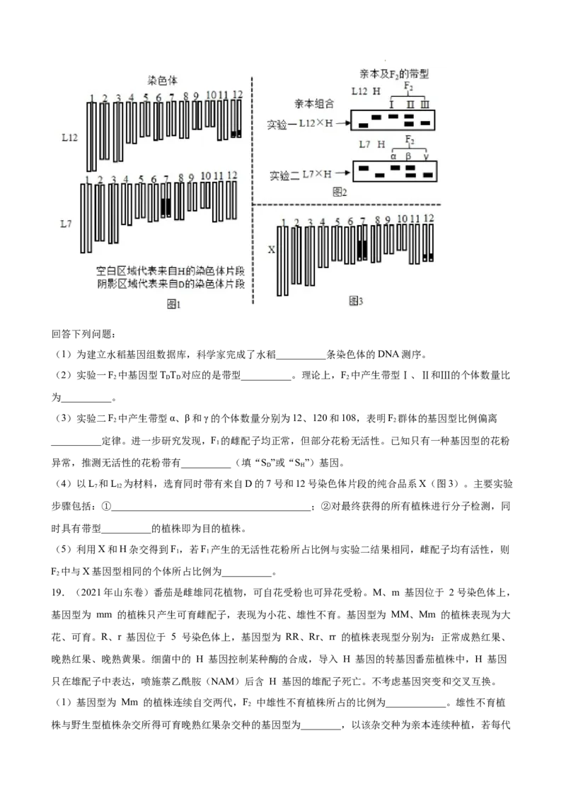 专题06基因的分离定律和自由组合定律-三年（2020-2022）高考真题生物分项汇编（全国通用）（原卷版）_高考真题分类汇编(2012-2022)生物_高考真题分项汇编(2020-2022)生物