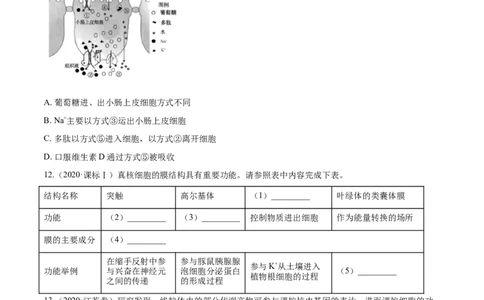 专题01细胞的组成与结构-十年（2012-2021）高考生物真题分项汇编（全国通用）（原卷版）_高考真题分类汇编(2012-2022)生物_高考真题分项汇编(2012-2021)生物