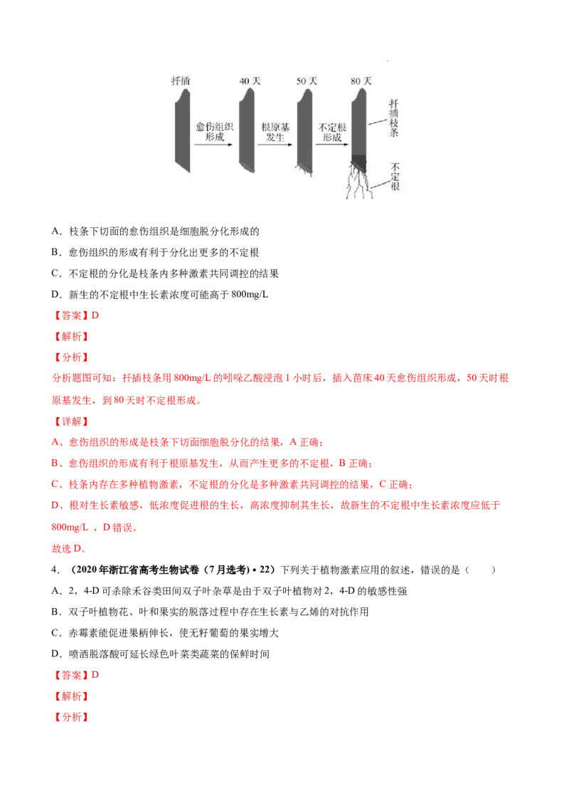 专题10植物生命活动的调节-三年（2020-2022）高考真题生物分项汇编（全国通用）（解析版）_高考真题分类汇编(2012-2022)生物_高考真题分项汇编(2020-2022)生物