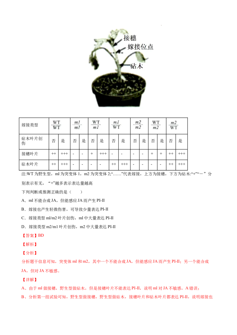 专题10植物生命活动的调节-三年（2020-2022）高考真题生物分项汇编（全国通用）（解析版）_高考真题分类汇编(2012-2022)生物_高考真题分项汇编(2020-2022)生物