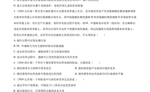 专题06生物的变异与进化-十年（2012-2021）高考生物真题分项汇编（全国通用）（原卷版）_高考真题分类汇编(2012-2022)生物_高考真题分项汇编(2012-2021)生物