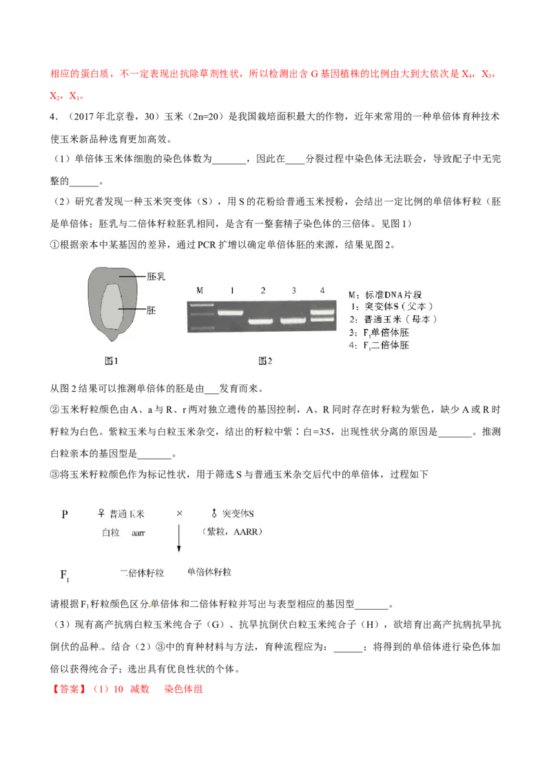 专题06生物的变异与进化-十年（2012-2021）高考生物真题分项汇编（全国通用）（解析版）_高考真题分类汇编(2012-2022)生物_高考真题分项汇编(2012-2021)生物