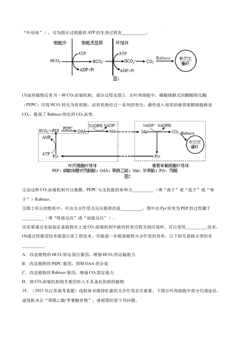 专题03光合作用和细胞呼吸-三年（2020-2022）高考真题生物分项汇编（全国通用）（原卷版）_高考真题分类汇编(2012-2022)生物_高考真题分项汇编(2020-2022)生物