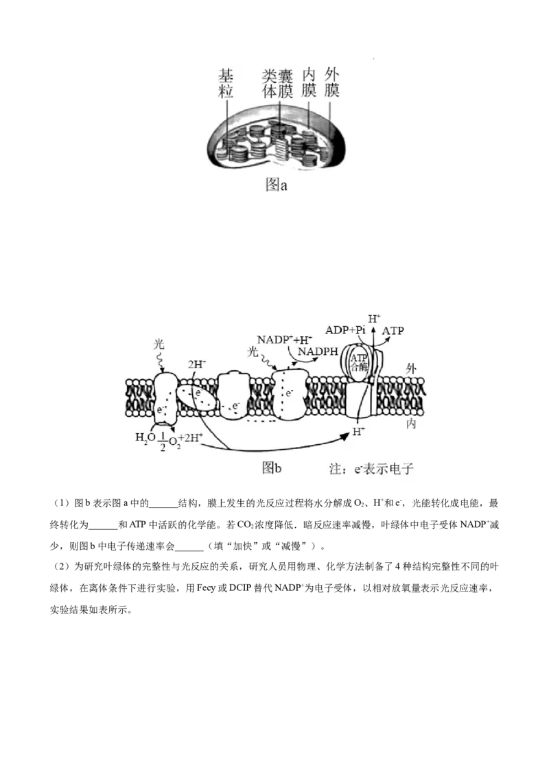 专题03光合作用和细胞呼吸-三年（2020-2022）高考真题生物分项汇编（全国通用）（原卷版）_高考真题分类汇编(2012-2022)生物_高考真题分项汇编(2020-2022)生物