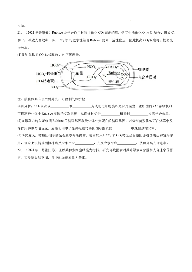 专题03光合作用和细胞呼吸-三年（2020-2022）高考真题生物分项汇编（全国通用）（原卷版）_高考真题分类汇编(2012-2022)生物_高考真题分项汇编(2020-2022)生物