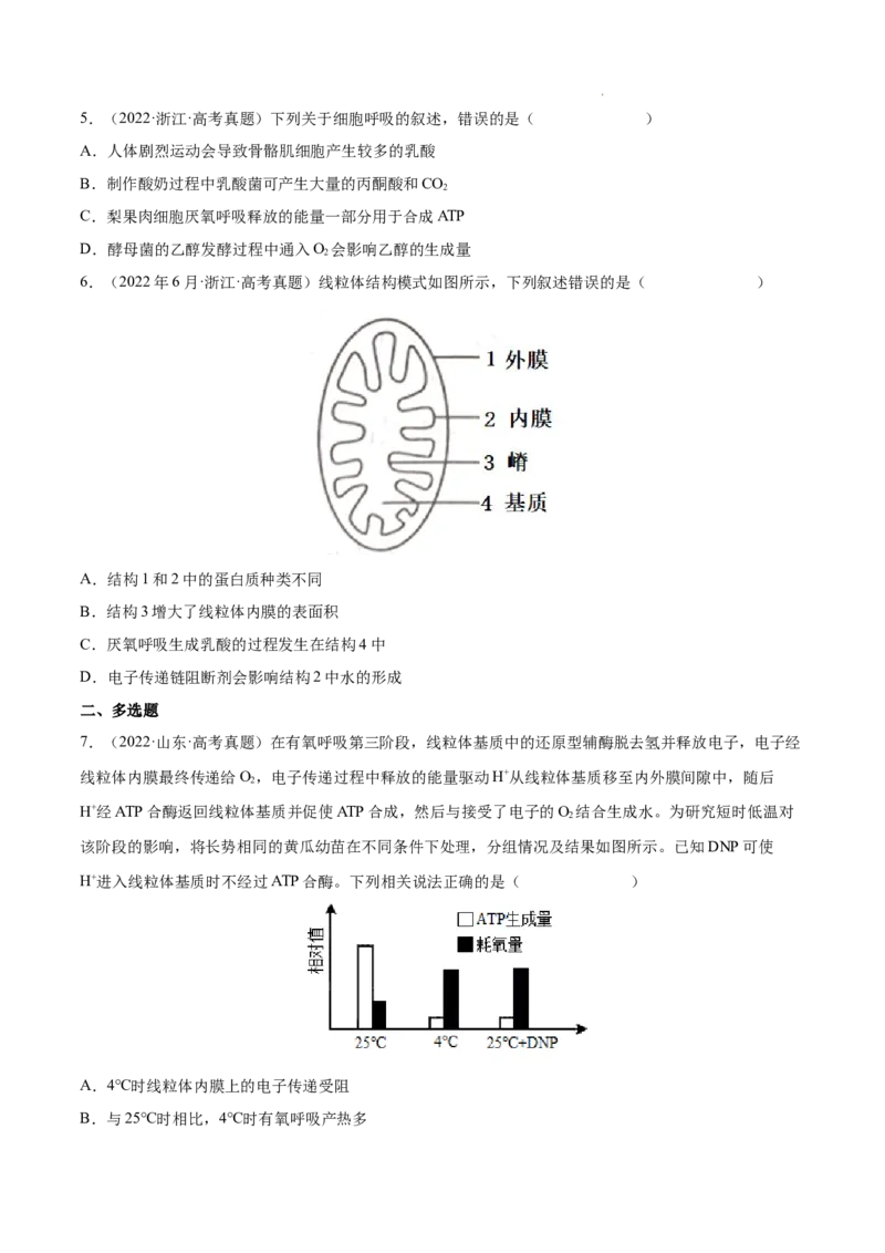 专题03光合作用和细胞呼吸-三年（2020-2022）高考真题生物分项汇编（全国通用）（原卷版）_高考真题分类汇编(2012-2022)生物_高考真题分项汇编(2020-2022)生物