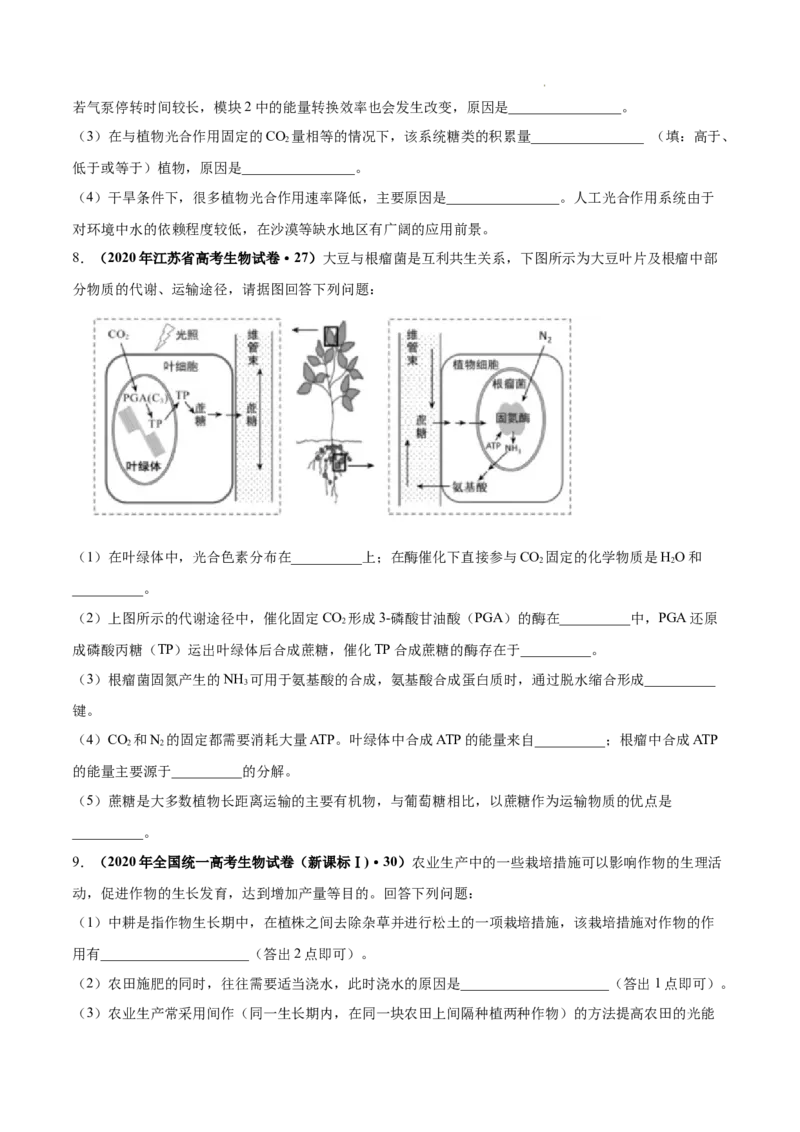 专题03光合作用和细胞呼吸-三年（2020-2022）高考真题生物分项汇编（全国通用）（原卷版）_高考真题分类汇编(2012-2022)生物_高考真题分项汇编(2020-2022)生物