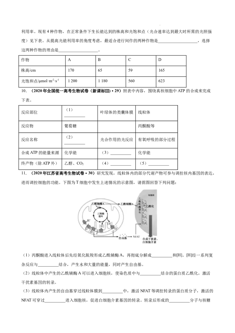 专题03光合作用和细胞呼吸-三年（2020-2022）高考真题生物分项汇编（全国通用）（原卷版）_高考真题分类汇编(2012-2022)生物_高考真题分项汇编(2020-2022)生物