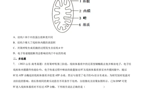 专题03光合作用和细胞呼吸-三年（2020-2022）高考真题生物分项汇编（全国通用）（原卷版）_高考真题分类汇编(2012-2022)生物_高考真题分项汇编(2020-2022)生物