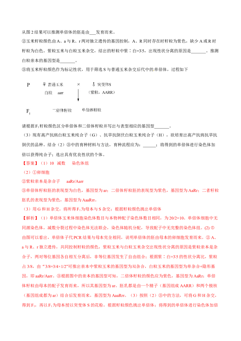 专题05遗传的基本规律与遗传病-十年（2012-2021）高考生物真题分项汇编（全国通用）（解析版）_高考真题分类汇编(2012-2022)生物_高考真题分项汇编(2012-2021)生物
