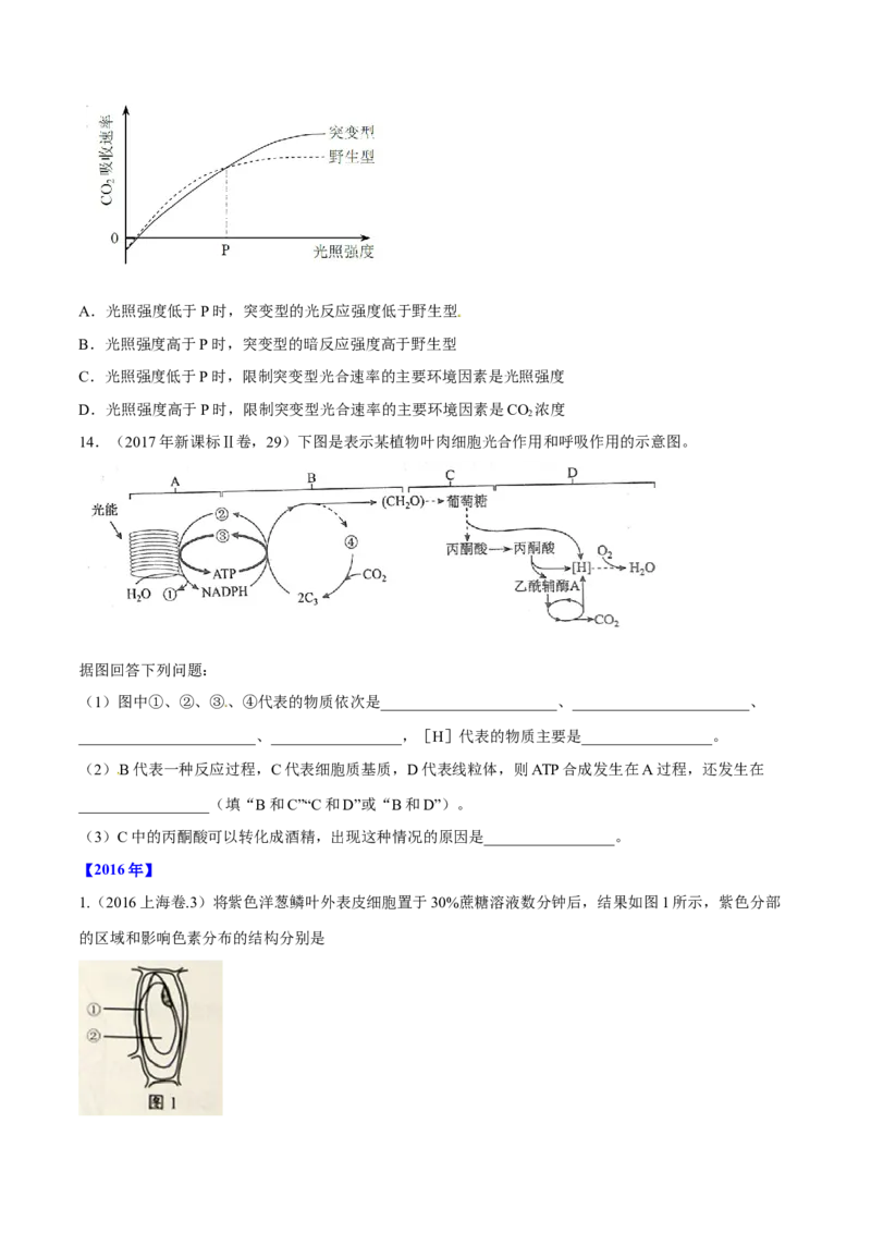 专题02细胞的能量与代谢-十年（2012-2021）高考生物真题分项汇编（全国通用）（原卷版）_高考真题分类汇编(2012-2022)生物_高考真题分项汇编(2012-2021)生物