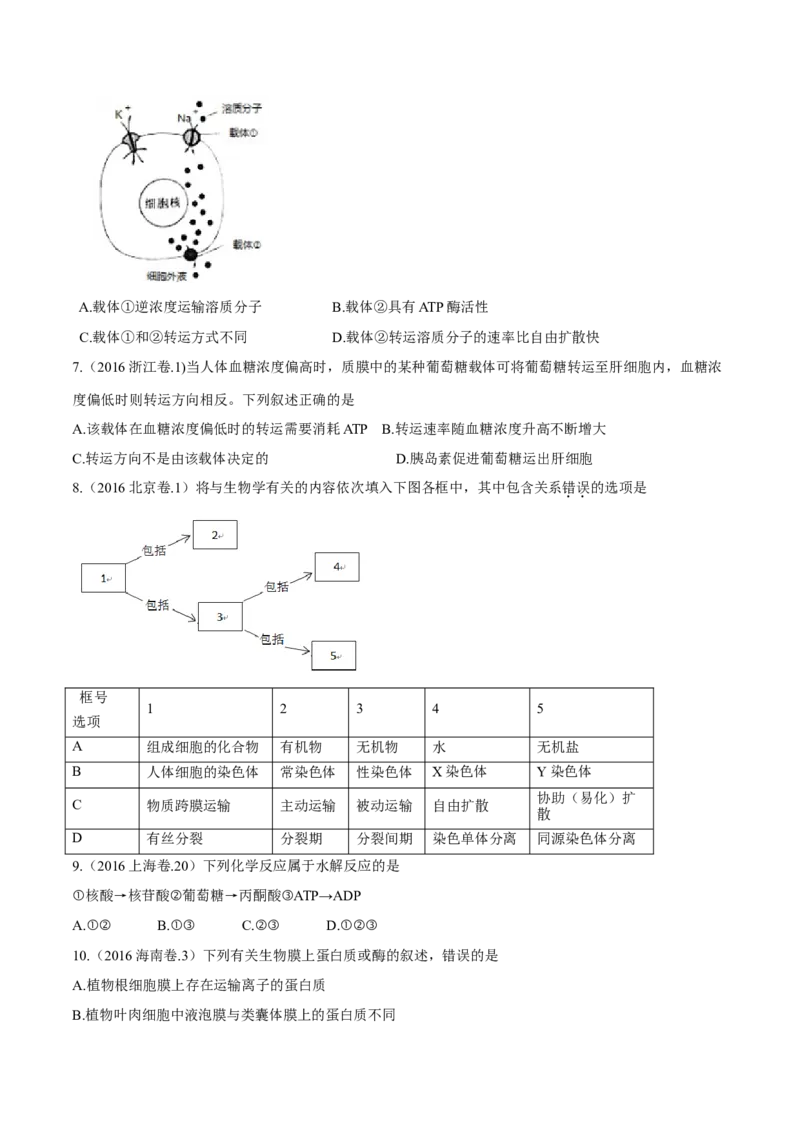 专题02细胞的能量与代谢-十年（2012-2021）高考生物真题分项汇编（全国通用）（原卷版）_高考真题分类汇编(2012-2022)生物_高考真题分项汇编(2012-2021)生物