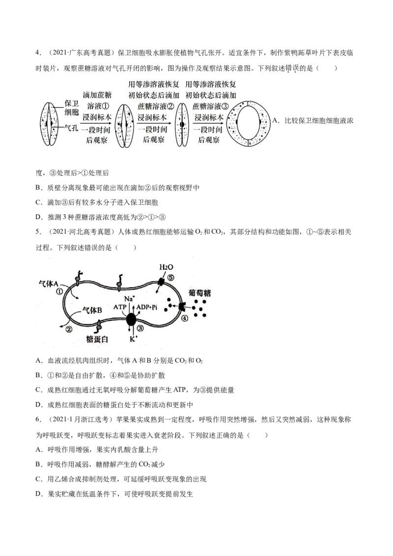 专题02细胞的能量与代谢-十年（2012-2021）高考生物真题分项汇编（全国通用）（原卷版）_高考真题分类汇编(2012-2022)生物_高考真题分项汇编(2012-2021)生物