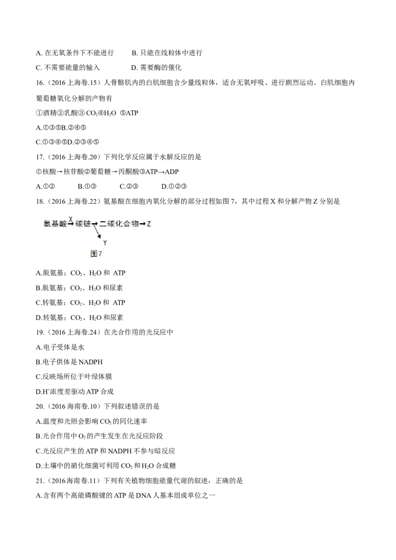 专题02细胞的能量与代谢-十年（2012-2021）高考生物真题分项汇编（全国通用）（原卷版）_高考真题分类汇编(2012-2022)生物_高考真题分项汇编(2012-2021)生物
