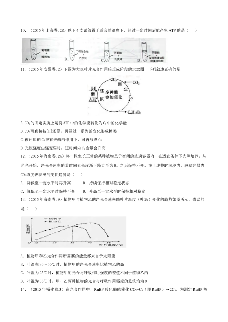 专题02细胞的能量与代谢-十年（2012-2021）高考生物真题分项汇编（全国通用）（原卷版）_高考真题分类汇编(2012-2022)生物_高考真题分项汇编(2012-2021)生物