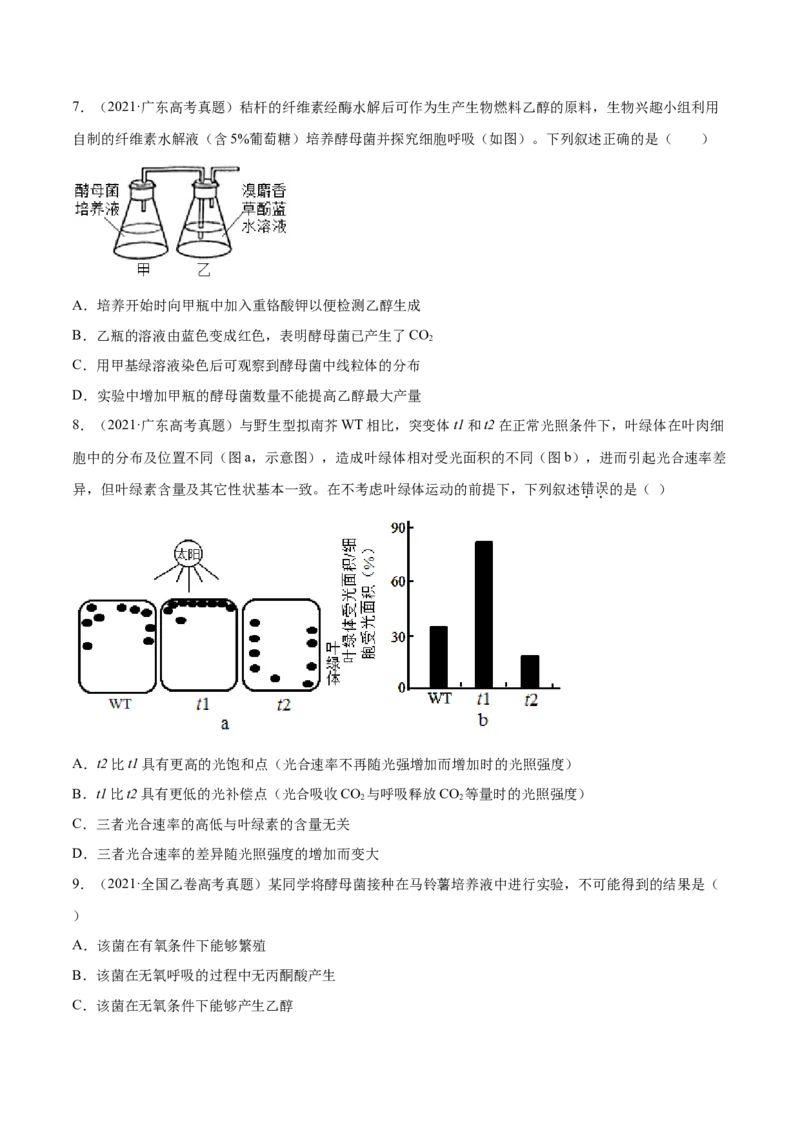 专题02细胞的能量与代谢-十年（2012-2021）高考生物真题分项汇编（全国通用）（原卷版）_高考真题分类汇编(2012-2022)生物_高考真题分项汇编(2012-2021)生物