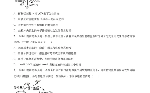 专题02细胞的能量与代谢-十年（2012-2021）高考生物真题分项汇编（全国通用）（原卷版）_高考真题分类汇编(2012-2022)生物_高考真题分项汇编(2012-2021)生物