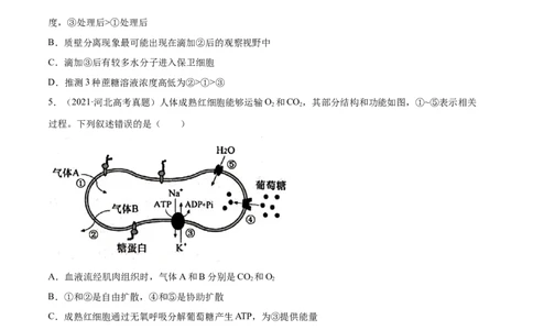 专题02细胞的能量与代谢-十年（2012-2021）高考生物真题分项汇编（全国通用）（原卷版）_高考真题分类汇编(2012-2022)生物_高考真题分项汇编(2012-2021)生物
