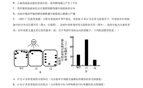 专题02细胞的能量与代谢-十年（2012-2021）高考生物真题分项汇编（全国通用）（原卷版）_高考真题分类汇编(2012-2022)生物_高考真题分项汇编(2012-2021)生物