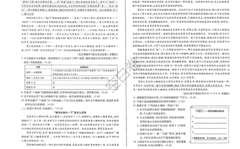 2025年甘肃省平凉市中考语文真题_1.2015-2025年中考语文_1.2025各省市语文_甘肃
