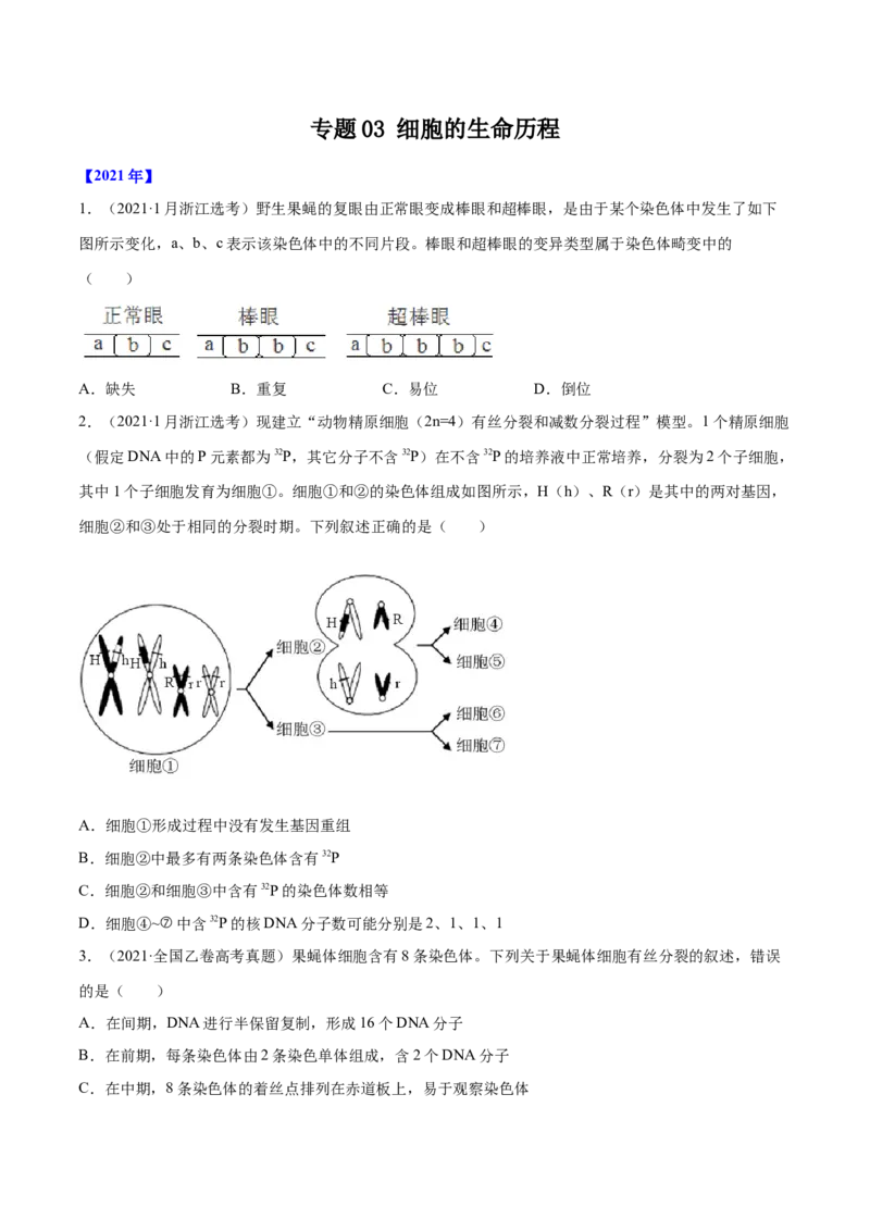 专题03细胞的生命历程-十年（2012-2021）高考生物真题分项汇编（全国通用）（原卷版）_高考真题分类汇编(2012-2022)生物_高考真题分项汇编(2012-2021)生物