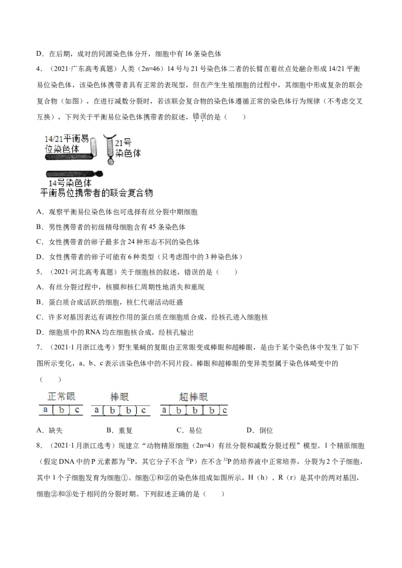 专题03细胞的生命历程-十年（2012-2021）高考生物真题分项汇编（全国通用）（原卷版）_高考真题分类汇编(2012-2022)生物_高考真题分项汇编(2012-2021)生物