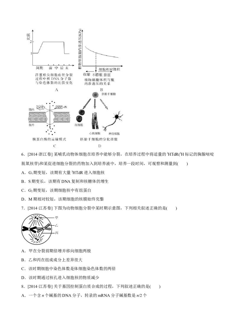专题03细胞的生命历程-十年（2012-2021）高考生物真题分项汇编（全国通用）（原卷版）_高考真题分类汇编(2012-2022)生物_高考真题分项汇编(2012-2021)生物