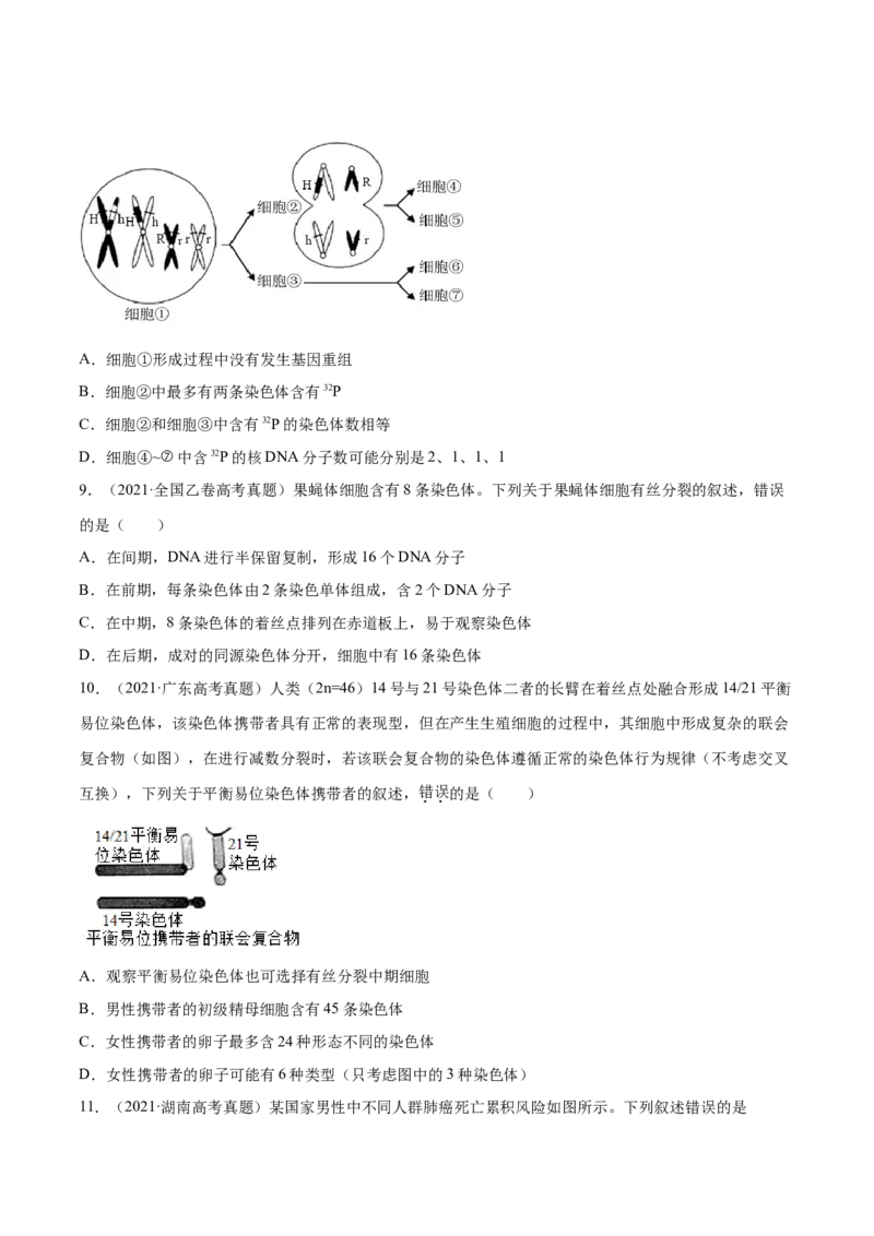 专题03细胞的生命历程-十年（2012-2021）高考生物真题分项汇编（全国通用）（原卷版）_高考真题分类汇编(2012-2022)生物_高考真题分项汇编(2012-2021)生物