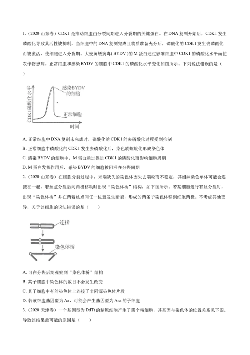 专题03细胞的生命历程-十年（2012-2021）高考生物真题分项汇编（全国通用）（原卷版）_高考真题分类汇编(2012-2022)生物_高考真题分项汇编(2012-2021)生物
