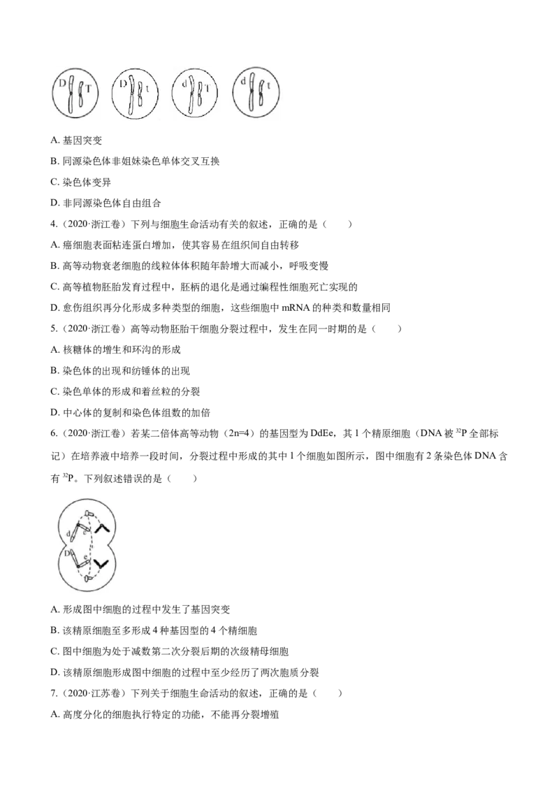 专题03细胞的生命历程-十年（2012-2021）高考生物真题分项汇编（全国通用）（原卷版）_高考真题分类汇编(2012-2022)生物_高考真题分项汇编(2012-2021)生物