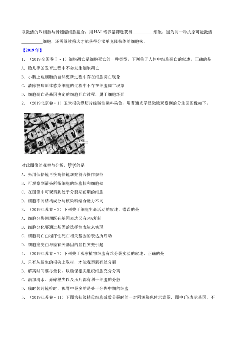 专题03细胞的生命历程-十年（2012-2021）高考生物真题分项汇编（全国通用）（原卷版）_高考真题分类汇编(2012-2022)生物_高考真题分项汇编(2012-2021)生物
